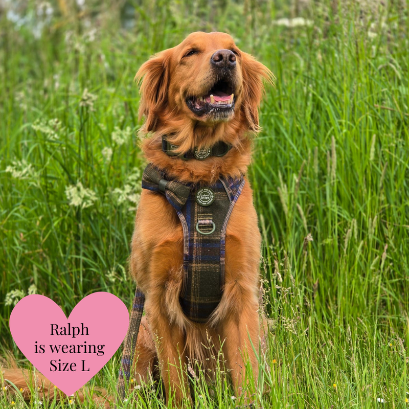 Mayfair Tweed - Colour Drops - Adjustable Dog Harness, Lead, Collar & Mini Black Dog Walking Bag Bundle - Bailey and Coco (UK)