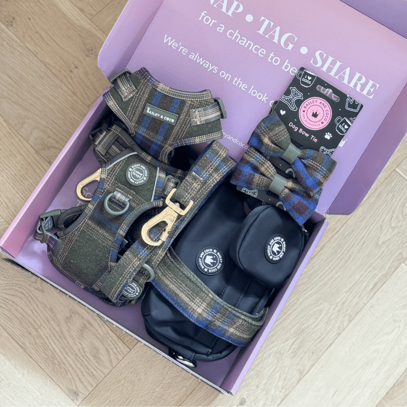 Mayfair Tweed - Colour Drops - Adjustable Dog Harness, Lead, Collar & Mini Black Dog Walking Bag Bundle - Bailey and Coco (UK)