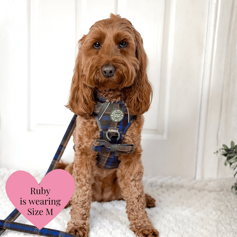 Mayfair Tweed - Colour Drops - Adjustable Dog Harness, Lead, Collar & Mini Black Dog Walking Bag Bundle - Bailey and Coco (UK)