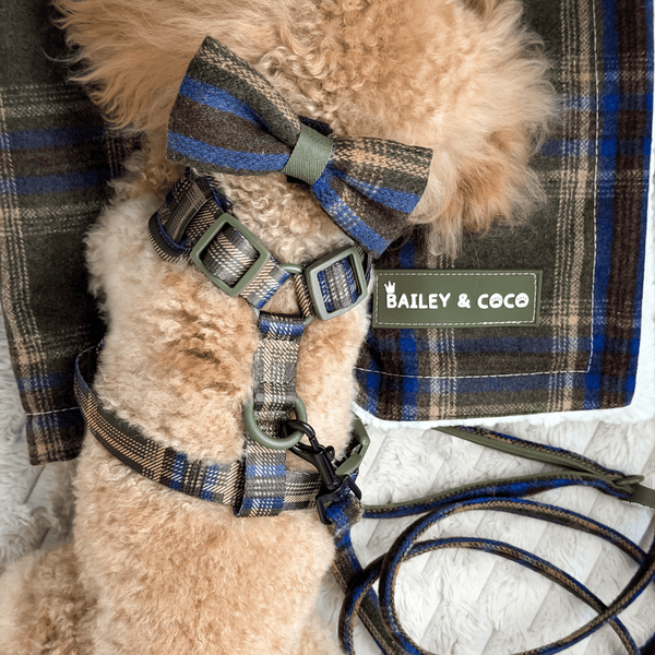 Lightweight Mini Dog Lead 5ft - Colour Drops - Mayfair Tweed - alternate view
