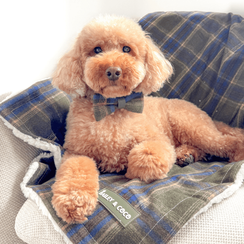 Mayfair Tweed Dog Blanket - Bailey and Coco (UK)