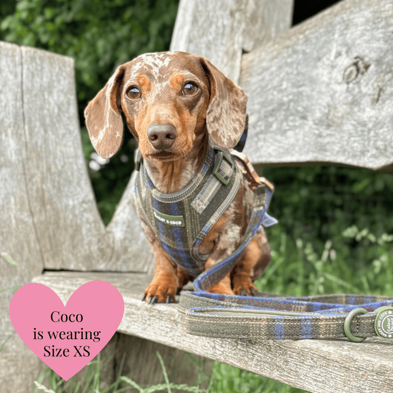 Mayfair Tweed Dog Harness - Adjustable Neck Dog Harness - Bailey and Coco (UK)