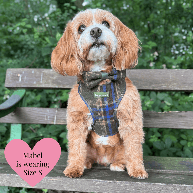 Mayfair Tweed Dog Harness - Adjustable Neck Dog Harness - Bailey and Coco (UK)