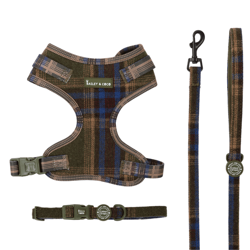 Mayfair Tweed Lightweight & Adjustable Dog Harness, Lead & Collar Bundle - Bailey and Coco (UK)