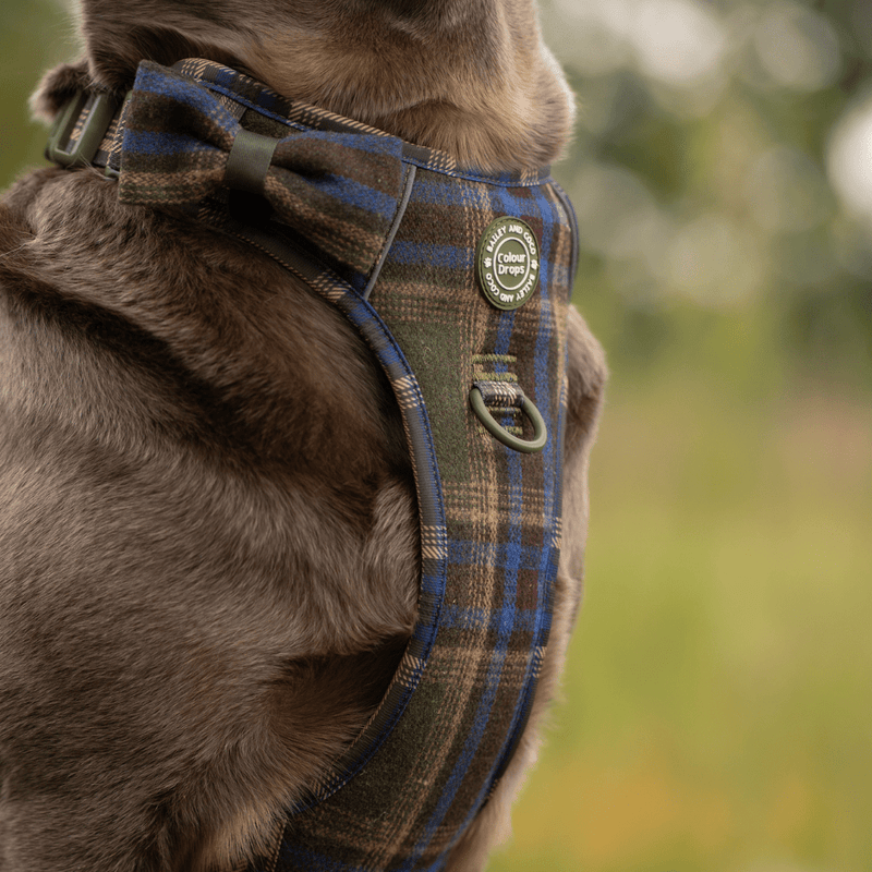 Mayfair Tweed Trail & Glow Dog Harness, Lead & Collar Bundle - Bailey and Coco (UK)
