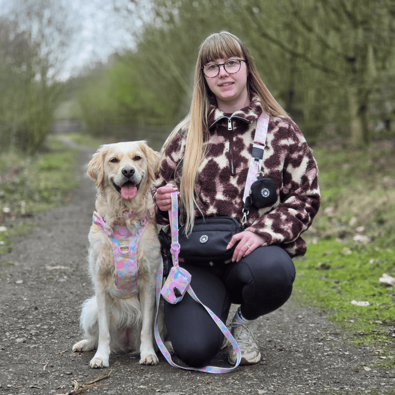 Mini Magnetic Snap Dog Walking Bag with Candy Floss Strap - Bailey and Coco (UK)