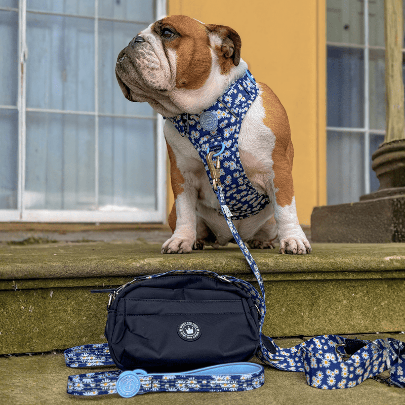 Mini Magnetic Snap Dog Walking Bag with Loves me, Loves me not Strap - Bailey and Coco (UK)
