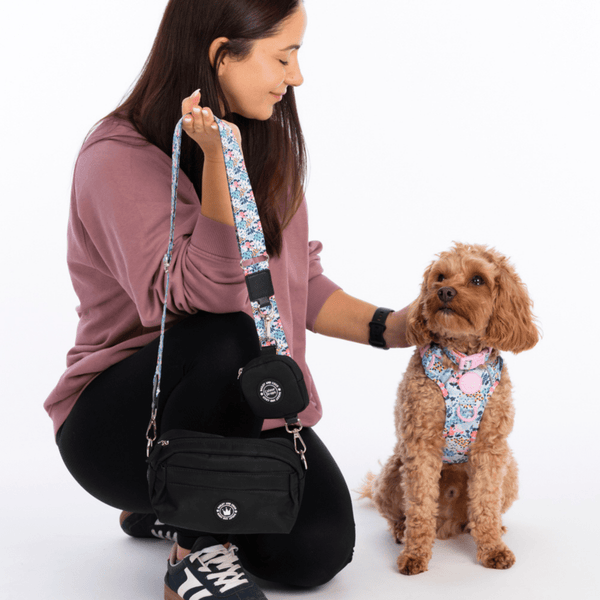 Spring Dreams Colour Drops - Adjustable Dog Harness, Lead, Collar & Mini Black Dog Walking Bag Bundle - alternate view