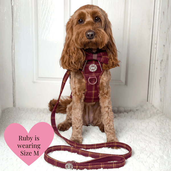 Dog Harness and Lead Set - Colour Drops - Mulberry Plaid - alternate view