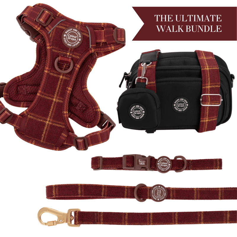 Mulberry Plaid Adjustable Dog Harness, Lead, Collar & Dog Walking Bag Bundle - Bailey and Coco (UK)