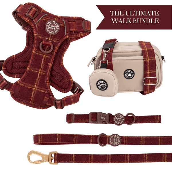 Mulberry Plaid Adjustable Dog Harness, Lead, Collar & Dog Walking Bag Bundle Latte - Bailey and Coco (UK)