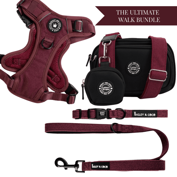 Mulberry Tweed Adjustable Dog Harness, Lead, Collar & Dog Walking Bag Bundle - Bailey and Coco (UK)