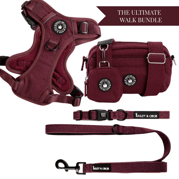Mulberry Tweed Adjustable Dog Harness, Lead, Collar & Tweed Dog Walking Bag Bundle - Bailey and Coco (UK)