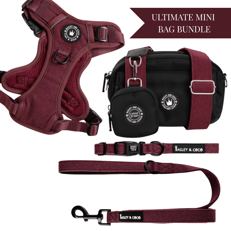 Mulberry Tweed - Colour Drops - Adjustable Dog Harness, Lead, Collar & Mini Black Dog Walking Bag Bundle - Bailey and Coco (UK)