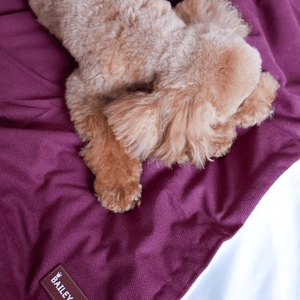 Mulberry Tweed Dog Blanket - Bailey and Coco (UK)