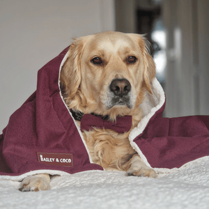 Mulberry Tweed Dog Blanket - Bailey and Coco (UK)