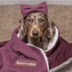 Mulberry Tweed Dog Blanket - Bailey and Coco (UK)