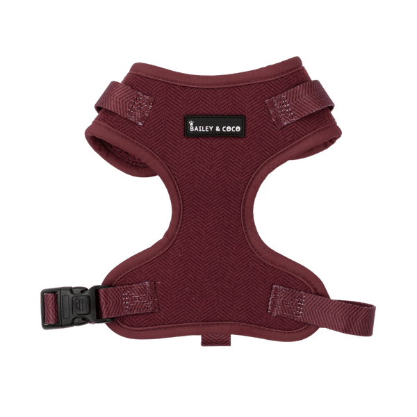 Mulberry Tweed Dog Harness - Adjustable Neck Dog Harness - Bailey and Coco (UK)