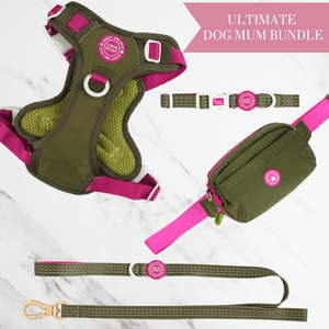 Olive it Hot Adjustable Dog Harness, Lead, Collar & Dog Walking Bag Bundle - Bailey and Coco (UK)