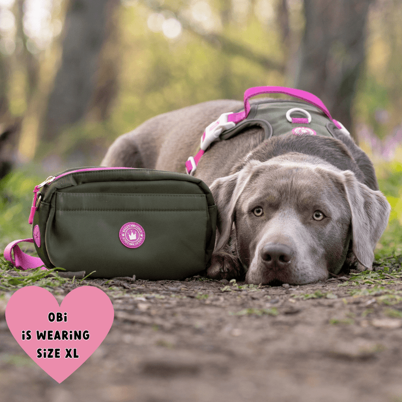 Olive it Hot Adjustable Dog Harness, Lead, Collar & Dog Walking Bag Bundle - Bailey and Coco (UK)