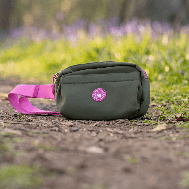 Olive it Hot Adjustable Dog Harness, Lead, Collar & Dog Walking Bag Bundle - Bailey and Coco (UK)