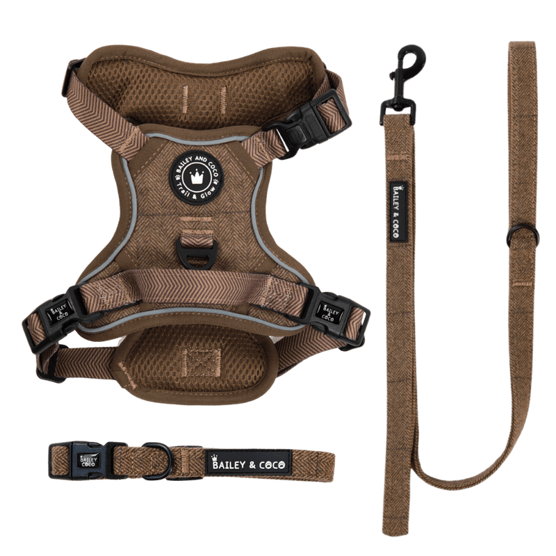 Oxford Tweed Trail & Glow Dog Harness, Lead & Collar Bundle - Bailey and Coco (UK)