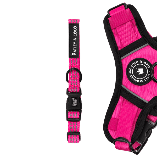Pink Dog Collar - Trail & Glow® Collar: The Hot Pink One - Bailey and Coco (UK)