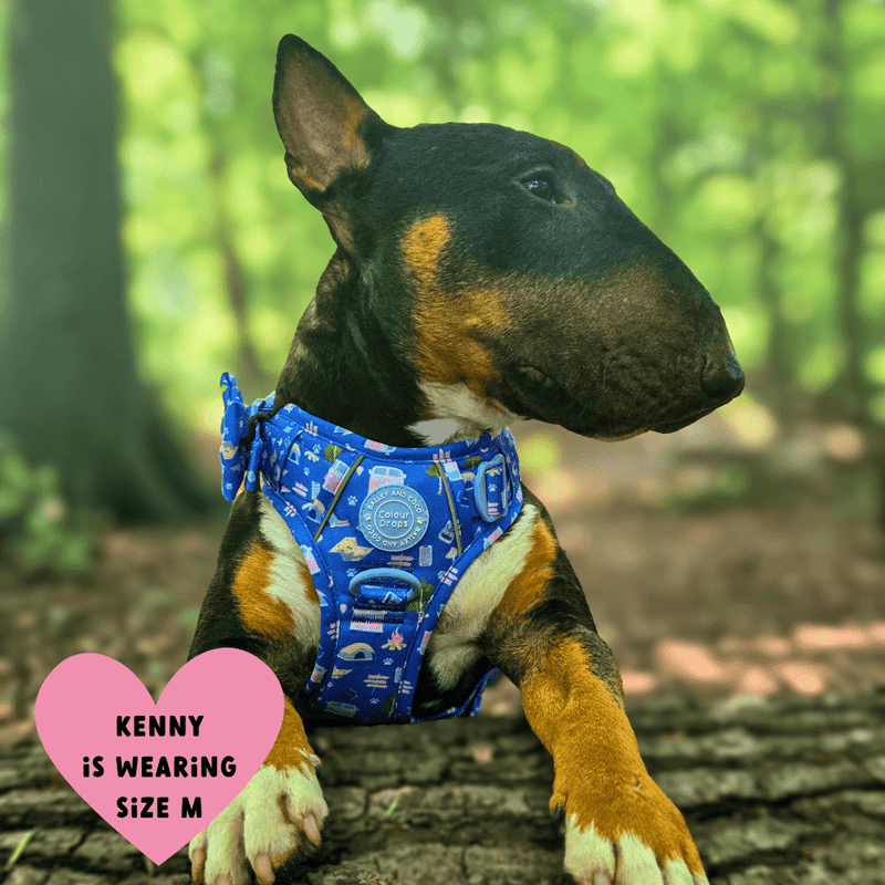 Pitch, Please Adjustable Dog Harness, Lead, Collar & Dog Walking Bag Bundle - Bailey and Coco (UK)