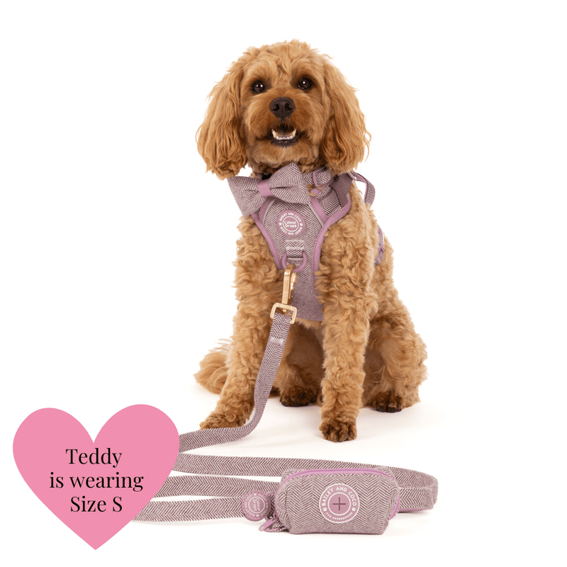 Plum Tweed Adjustable Dog Harness, Lead, Collar & Dog Walking Bag Bundle - Bailey and Coco (UK)