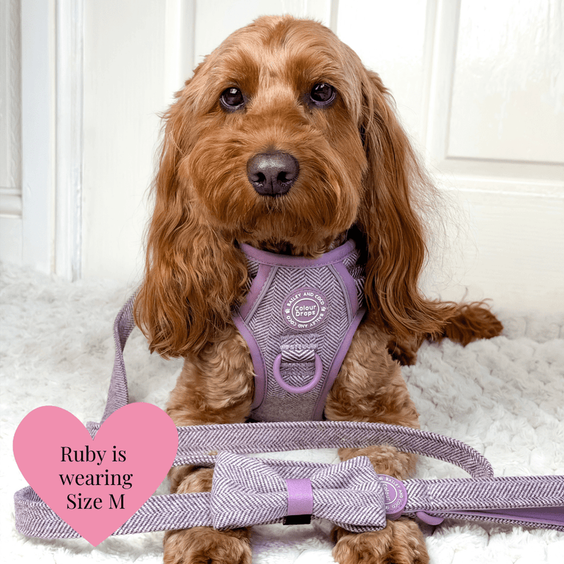 Plum Tweed Adjustable Dog Harness, Lead, Collar & Dog Walking Bag Bundle - Bailey and Coco (UK)