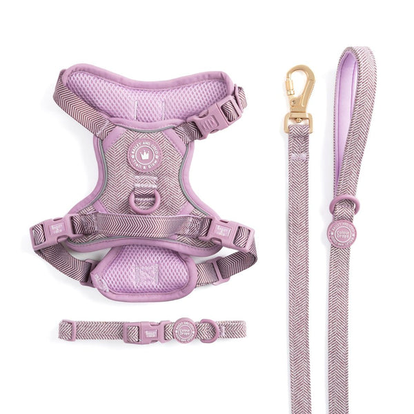 Plum Tweed Trail & Glow Dog Harness, Lead & Collar Bundle - Bailey and Coco (UK)