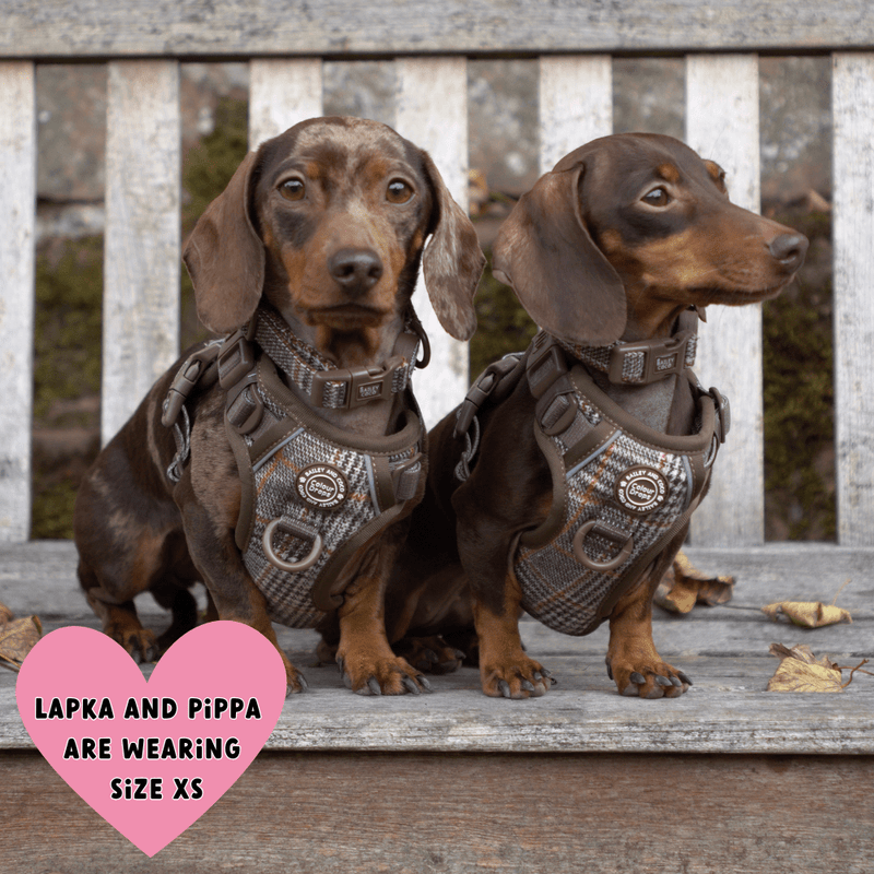 Poo Bag Holder - Colour Drops - Heritage Plaid - Bailey and Coco (UK)