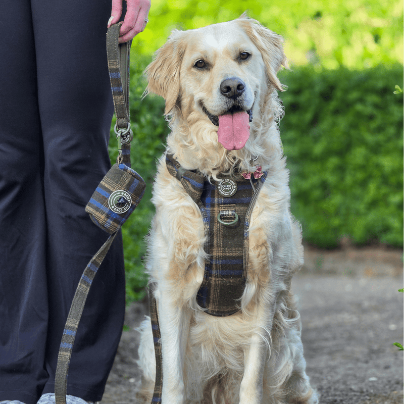 Poo Bag Holder - Colour Drops - Mayfair Tweed - Bailey and Coco (UK)