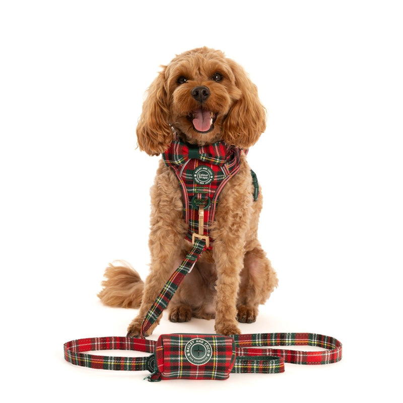 Poo Bag Holder - Colour Drops - Red Highland Tartan - Bailey and Coco (UK)