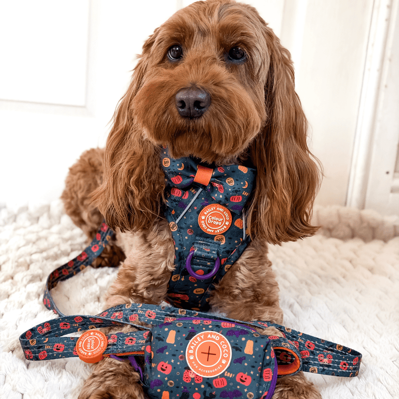 Poo Bag Holder - Colour Drops - Spellbound Autumn - Bailey and Coco (UK)