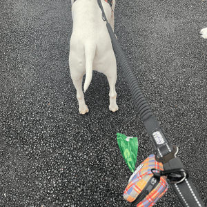 Poo Bag Holder - Rustic Tartan - Bailey and Coco (UK)