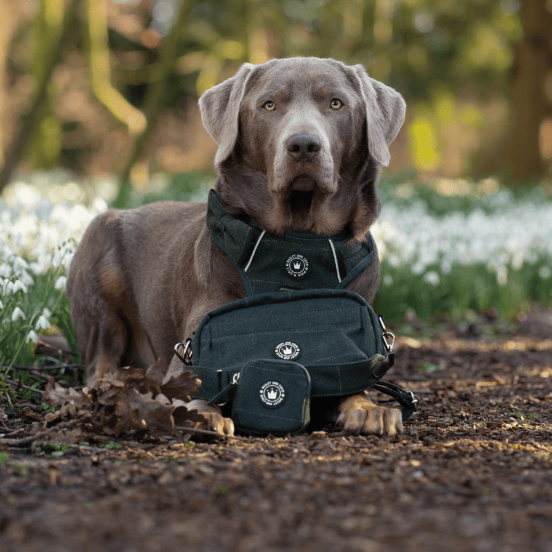 Premium Forest Tweed Dog Walking Bag - Bailey and Coco (UK)