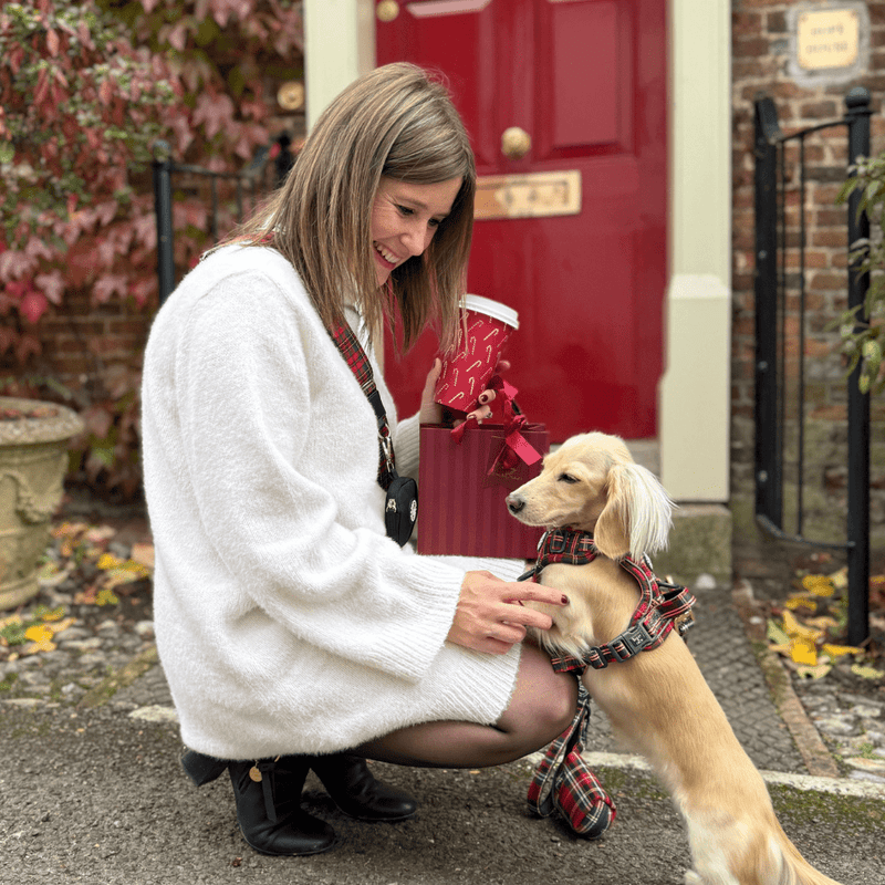 Red Highland Tartan Adjustable Dog Harness, Lead, Collar & Dog Walking Bag Bundle - Bailey and Coco (UK)