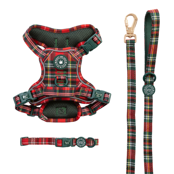 Red Highland Tartan Trail & Glow Dog Harness, Lead & Collar Bundle - Bailey and Coco (UK)