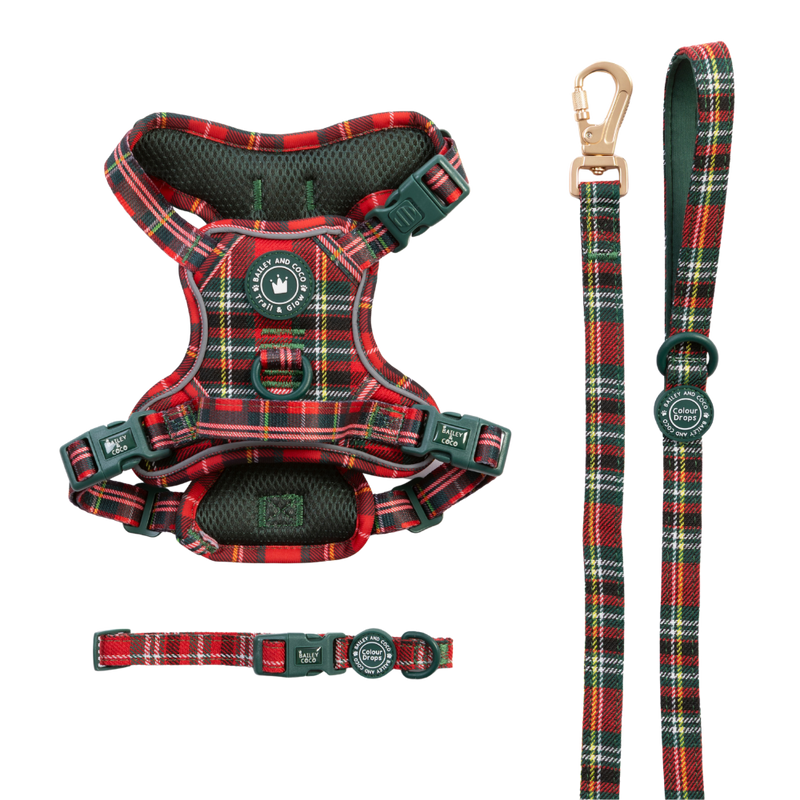 Red Highland Tartan Trail & Glow Dog Harness, Lead & Collar Bundle - Bailey and Coco (UK)