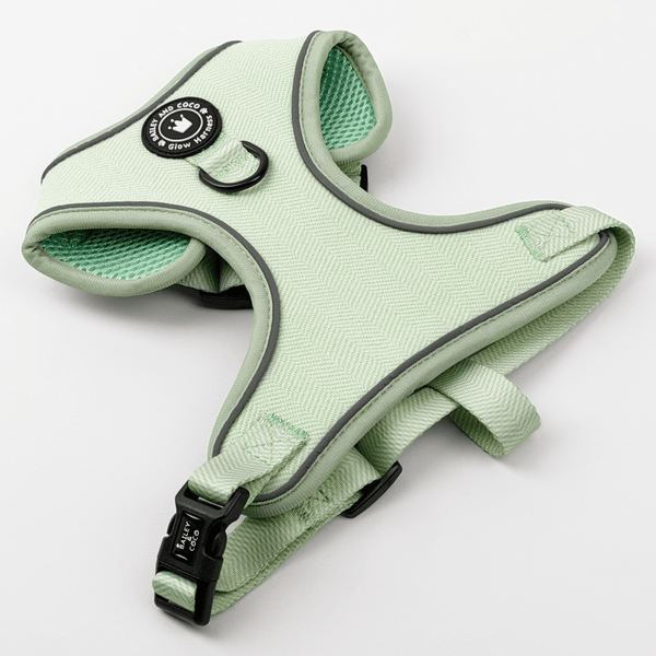 Reflective Tweed Dog Harness in Sage Green - Comfort Fit, Adjustable, with D - Ring for Leads - Sizes XXS/XS/S/M - Bailey and Coco (UK)