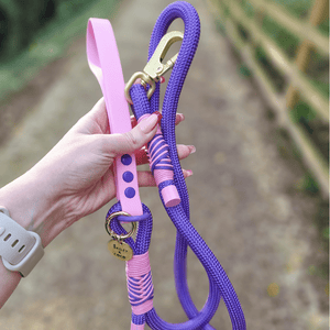Rope Dog Lead COLOUR DROPS® - Love that for you - Bailey and Coco (UK)