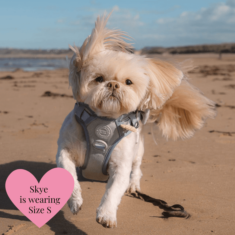 Sage Tweed - Colour Drops - Adjustable Dog Harness, Lead, Collar & Mini Black Dog Walking Bag Bundle - Bailey and Coco (UK)