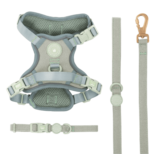 Sage Tweed Trail & Glow Dog Harness, Lead & Collar Bundle - Bailey and Coco (UK)