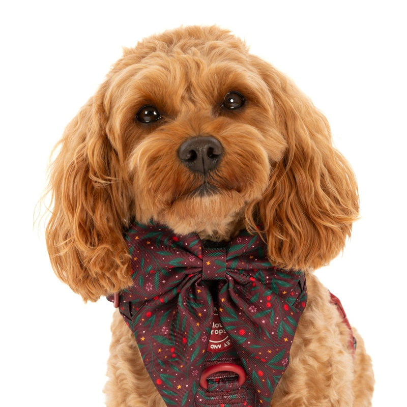 Sailor Bow Tie - Colour Drops - Jingle Berry - Bailey and Coco (UK)
