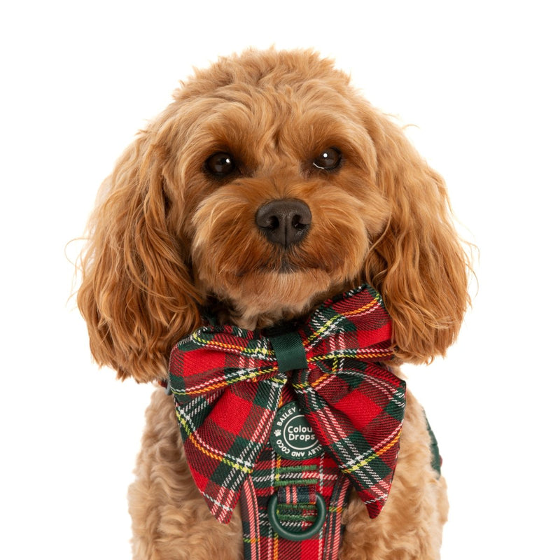 Sailor Bow Tie - Colour Drops - Red Highland Tartan - Bailey and Coco (UK)