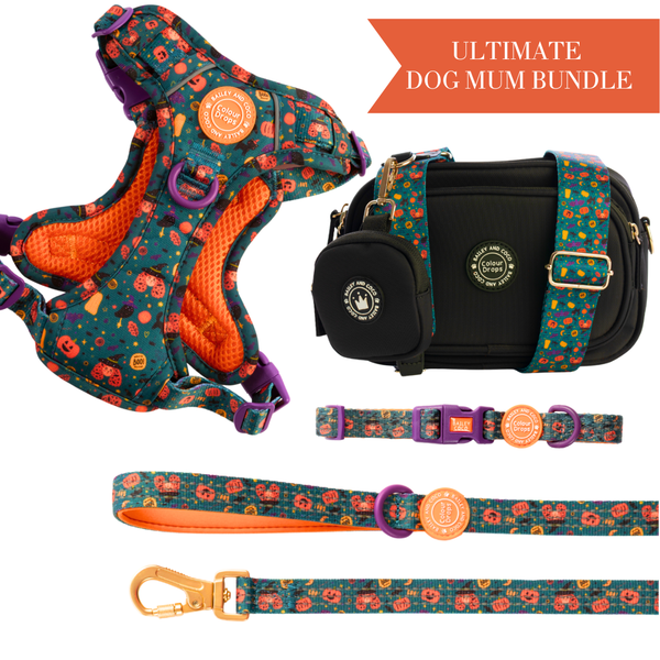 Spellbound Autumn Adjustable Dog Harness, Lead, Collar & Dog Walking Bag Bundle - Bailey and Coco (UK)