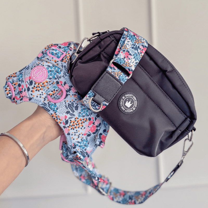 Spring Dreams Colour Drops - Adjustable Dog Harness, Lead, Collar & Mini Black Dog Walking Bag Bundle (Copy) - Bailey and Coco (UK)