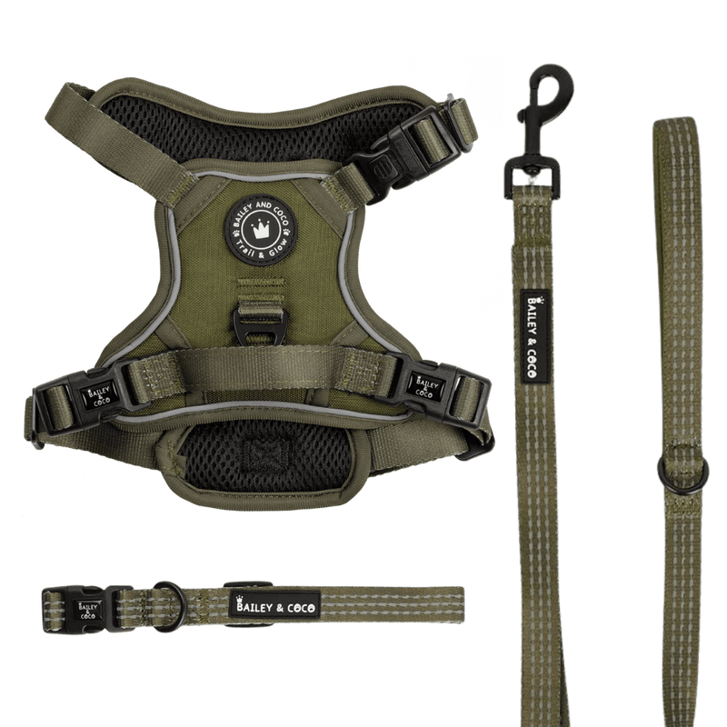 The Khaki One Trail & Glow Dog Harness, Lead & Collar Bundle - Bailey and Coco (UK)