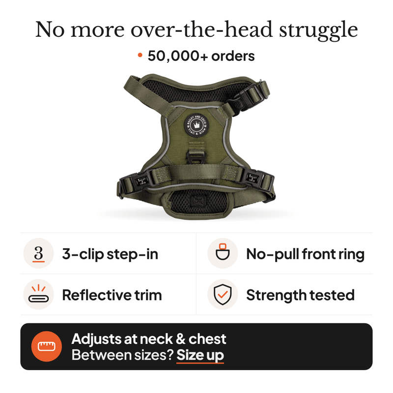 The Khaki One Trail & Glow Dog Harness, Lead & Collar Bundle - Bailey and Coco (UK)